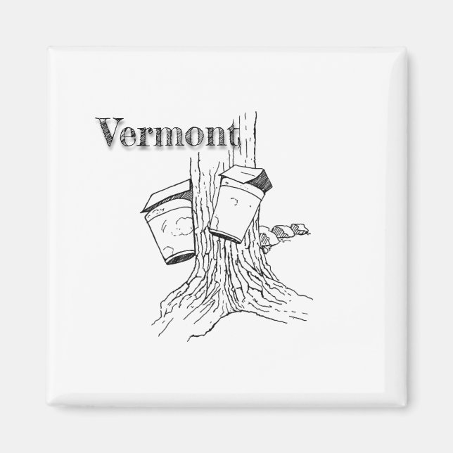 Vermont Maple Trees Magnet (Front)