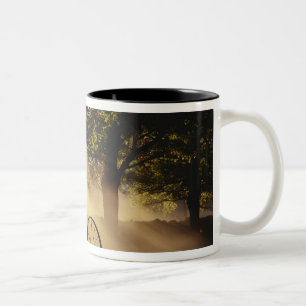 Vermont, Northeast Kingdom, Sunlight falling Two-Tone Coffee Mug