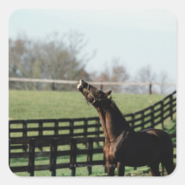 Vermont, USA 2 Square Sticker (Front)