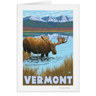 VermontMoose Boire dans le lac