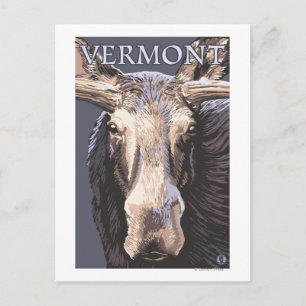 VermontMoose Up Close Postcard