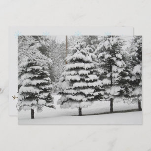 Vermont's Winter Wonderland in B&W Flat Card