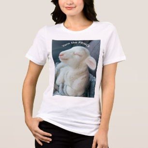 Vern the Prince of a Lamb Riding Shotgun Tri-Blend Shirt