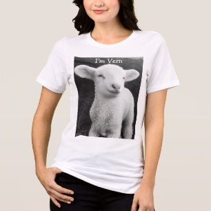 Vern The Viral Lamb Cozy Emotional Energy Tri-Blend Shirt