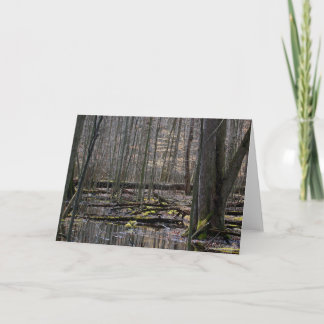 Vernal Pools 7 x 5 Folded Greeting Card - blank
