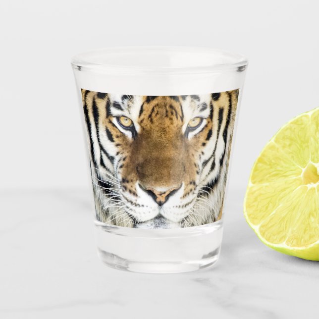 Verre à liqueur de tigre (Devant)