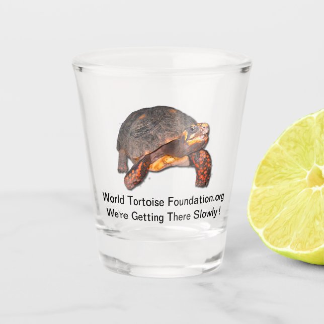 Verre à liqueur de tortue (Devant)