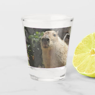 VERRE A SHOT 3
