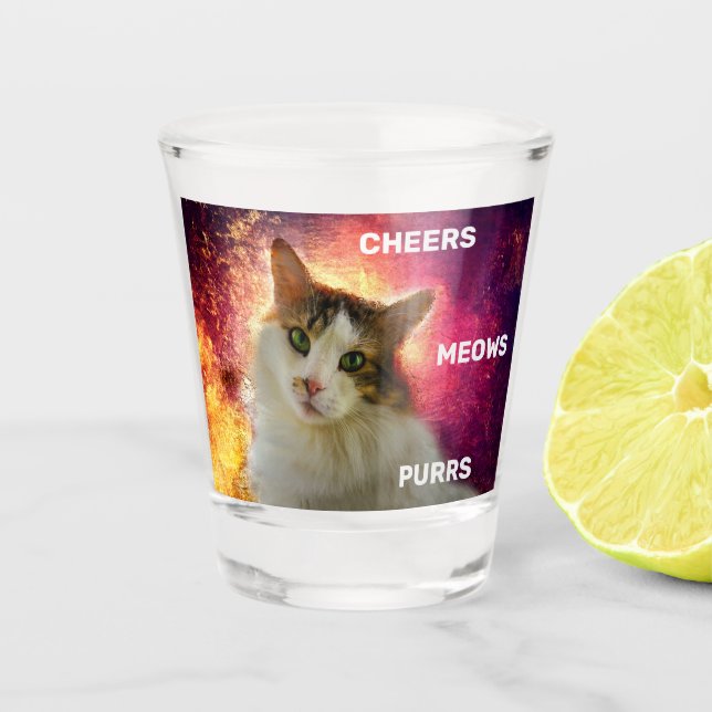 Verre A Shot Adorable Cute Calico Chat (Devant)