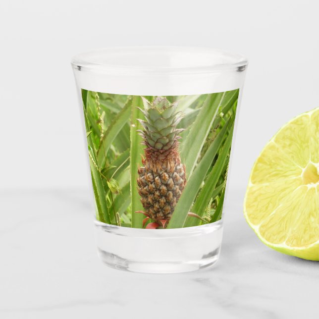 Verre A Shot Ananas sauvage Fruit tropical dans la nature (Devant)