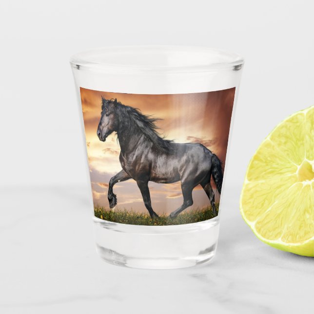 Verre A Shot Beau Cheval Noir (Devant)