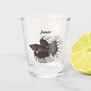 Verre A Shot Betta fish
