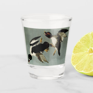 Verre A Shot Canard de mer à oeil doré