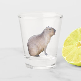 Verre A Shot Capybara