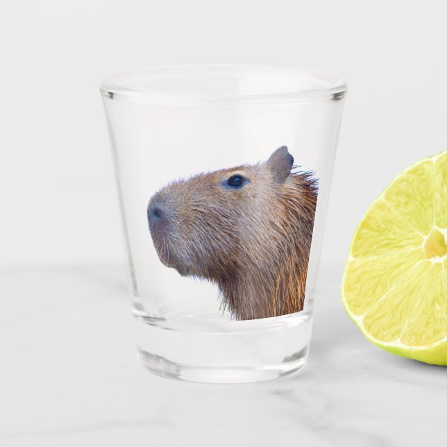 Verre A Shot Capybara (Devant)