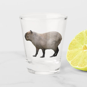 Verre A Shot Capybara