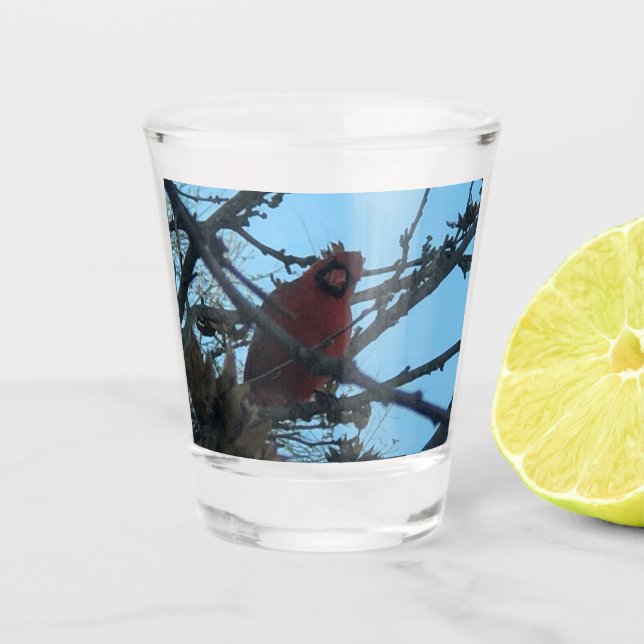 Verre A Shot Cardinal (Devant)