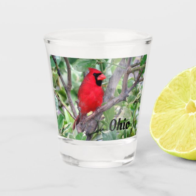 Verre A Shot Cardinal du Nord - Ohio State Bird Shot Glass (Devant)