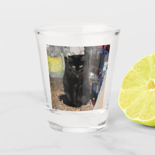 Verre A Shot Cat