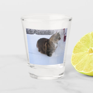 Verre A Shot chat forestier norvégien dans la neige