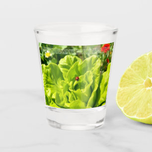 Verre A Shot Coccinelle chanceuse