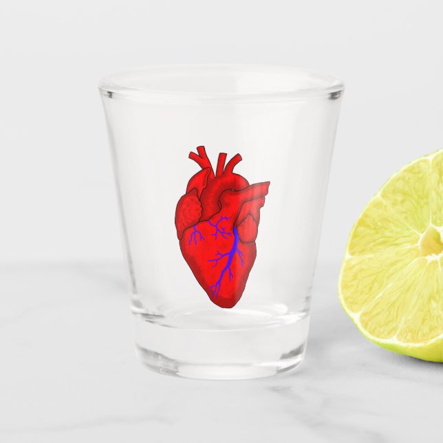 Verre A Shot Coeur anatomique (Devant)