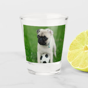 Verre A Shot Créez Votre Propre Photo de Compagnon à Quatre Pat