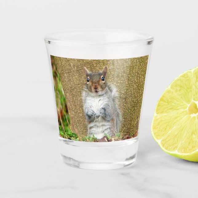 Verre A Shot Cute écureuil (Devant)