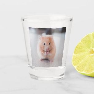 Verre A Shot Cute Hamster Love Animals