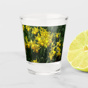 Verre A Shot Daffodiles Jaunes I Fleurs De Printemps Cheveux
