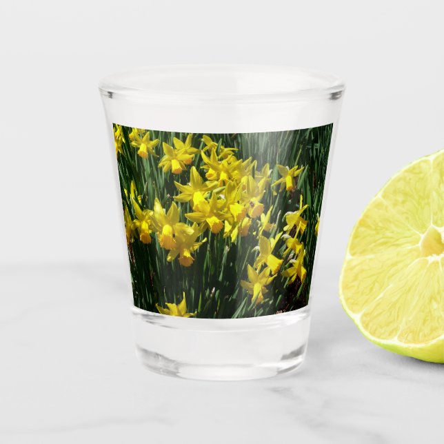 Verre A Shot Daffodiles Jaunes I Fleurs De Printemps Cheveux (Devant)