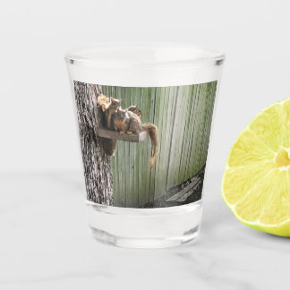 Verre A Shot Écureuil