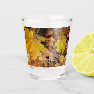 Verre A Shot Fallen Maple Feuille Jaune Automne Nature