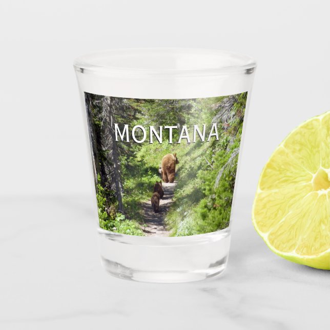 Verre A Shot Famille d'ours Brown (Devant)