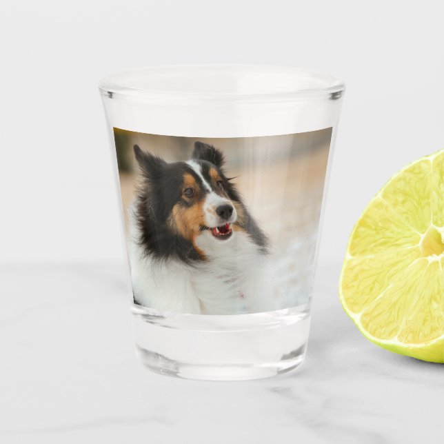 Verre A Shot Happy Shelty (Devant)