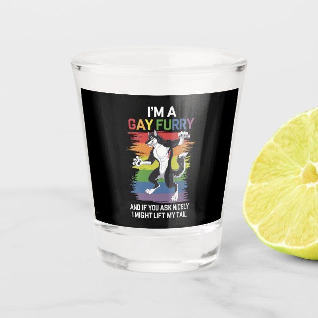 Verre A Shot Je suis une Gay Furry Fox Rainbow Pride LGBTQ (Devant)