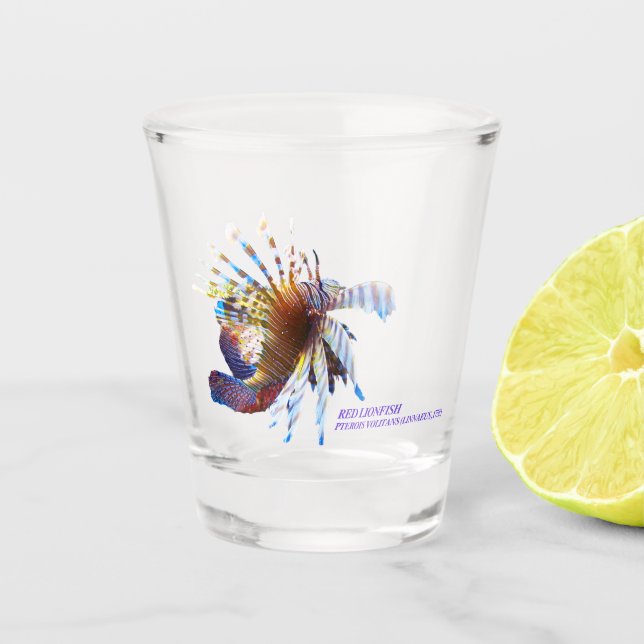 Verre A Shot La Dame des Mers du Sud (Devant)
