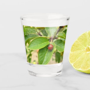 Verre A Shot Ladybug Chanceuse