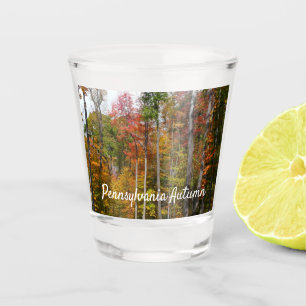 Verre A Shot L'automne dans la forêt Photographie d'automne col