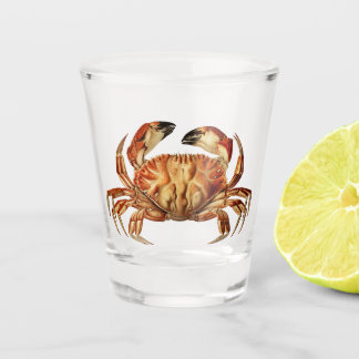 Verre A Shot Le crabe de Dungeness - Cancer Bellianis