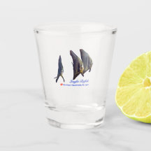 Le mignon poisson à nageoires longues