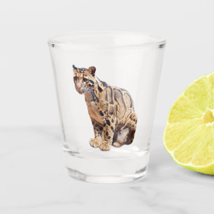Verre A Shot léopard nébuleux photographie jungle grand félin a