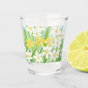 Verre A Shot Les jonquilles jaunes et blanches au printemps