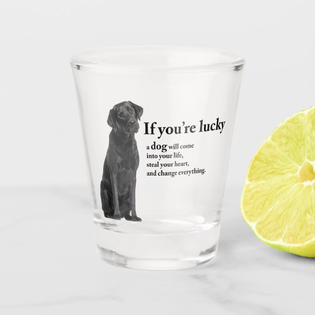 Verre A Shot Lucky Black Lab (Devant)