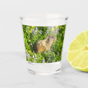 Verre A Shot Marmot dans le Mont Rainier Fleurs sauvages