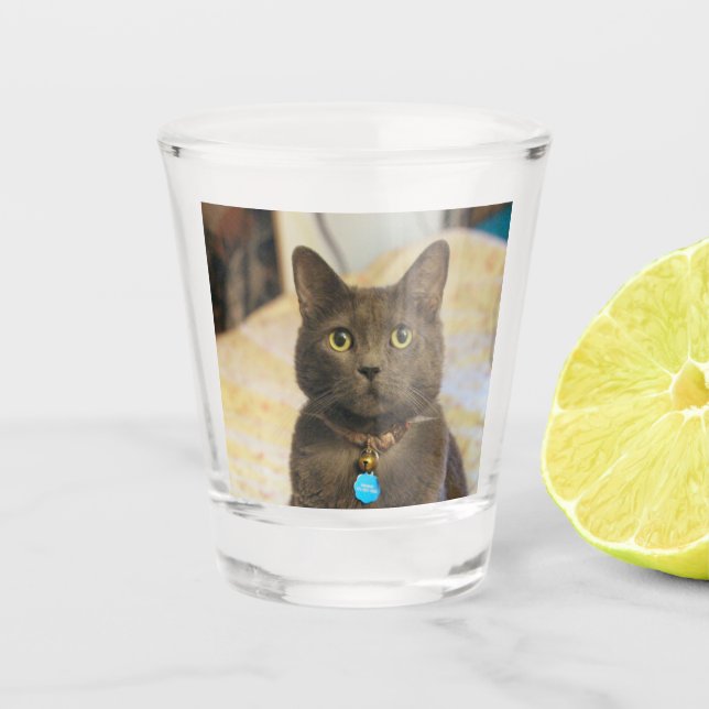 Verre A Shot Mims (Devant)