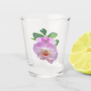 Verre A Shot Orchidées pourpres