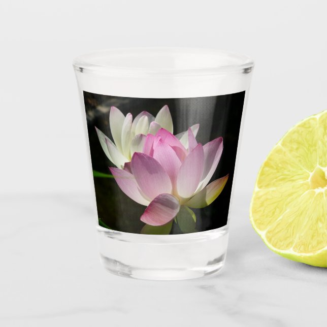 Verre A Shot Paire de fleurs de Lotus II (Devant)