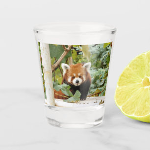Verre A Shot Panda rouge
