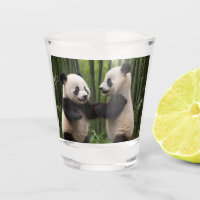 Pandas Bébés En Jeu Dans Une Forêt De Bambou,